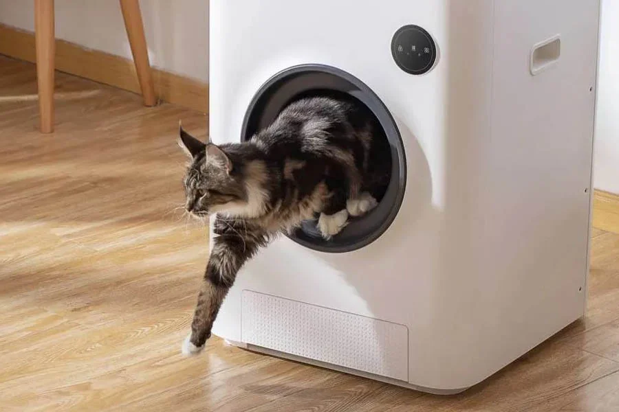 pet safe litterbox
